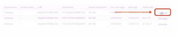 Portal-Fone-descarga